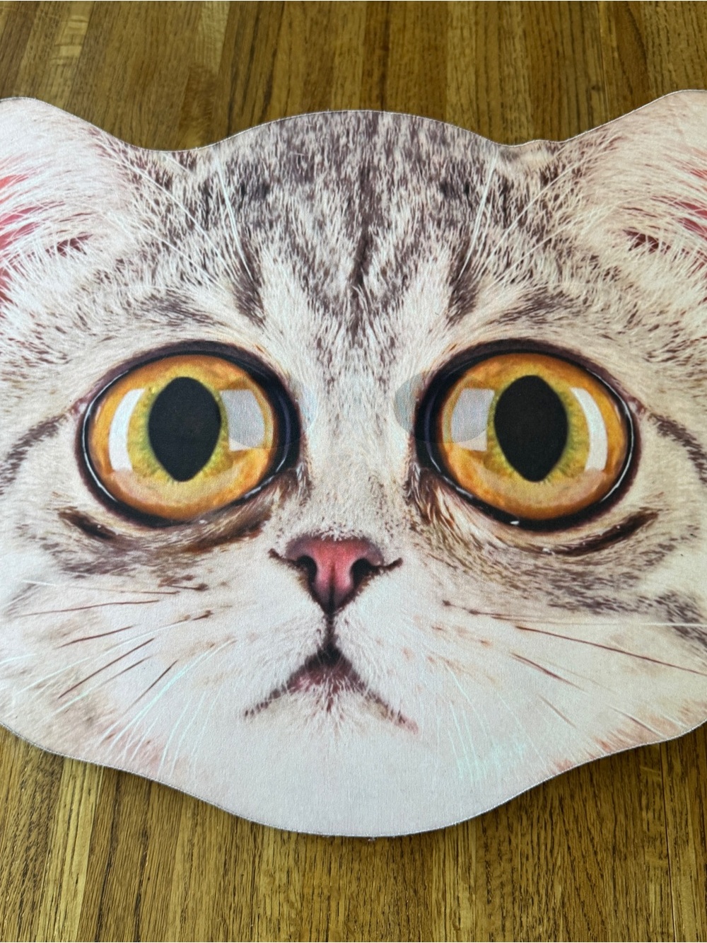 Oversized Realistic Big-Eyed Kitty Cat Costume Mask (Adult Size)